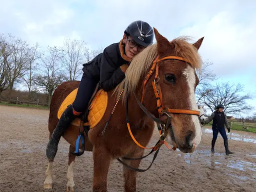 Centre Equestre des Chétifs Bois
