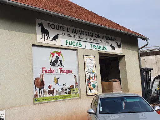 Fuchs - Tragus