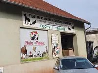 Fuchs - Tragus