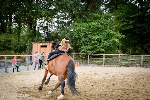 Ferme Équestre Crinières aux Vents