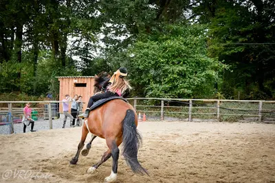 Ferme Équestre Crinières aux Vents