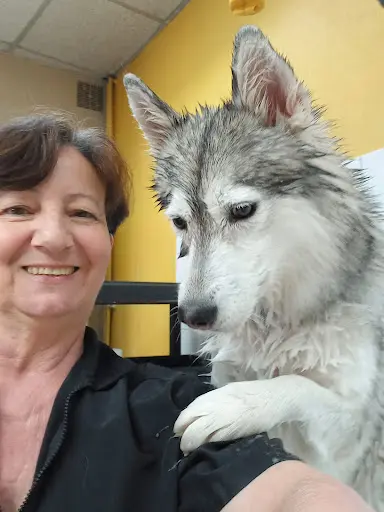 Chiens du Monde