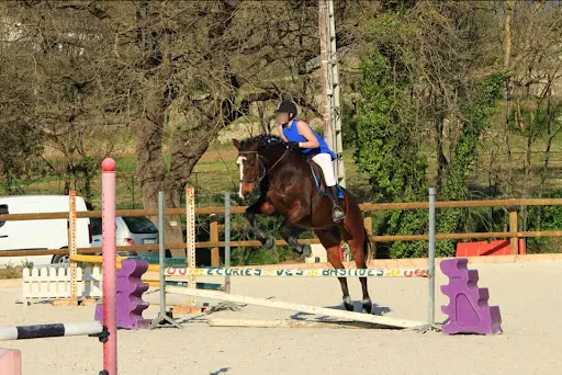 Ecurie des Bastides