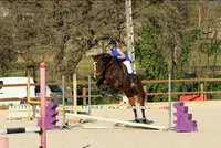 Ecurie des Bastides