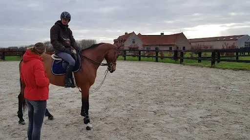 Haras de Lannay