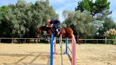 Haras de Castille