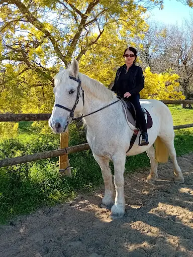 Les Chevaux de Margaux