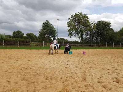 Poney Club Shet Malin