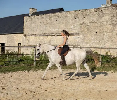 Zeugma - École d'Équitation - A Cheval Avec Sens
