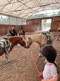 Centre Équestre le Ranch des Lamberts