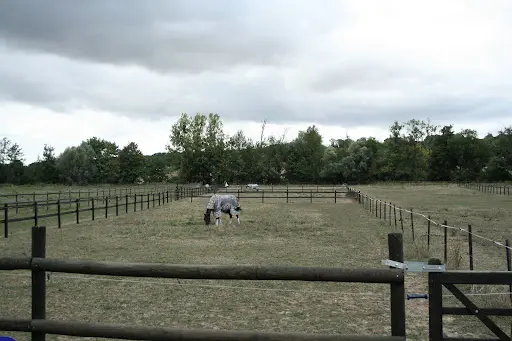 Haras de Chalvergnes