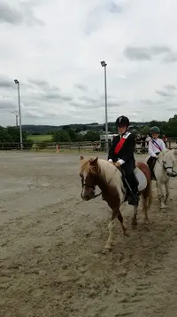 Osec Équitation