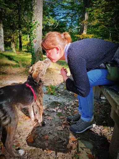 Truffes et Cie