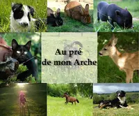 Au Pré de Mon Arche