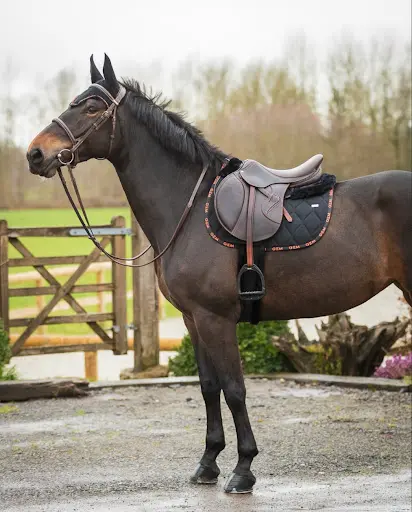 Equi Plaisir