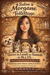 Salon Morgane Toilettage