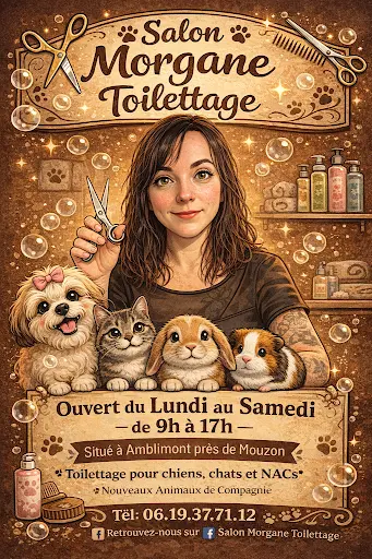 Salon Morgane Toilettage