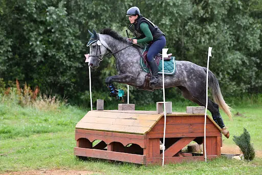 Écurie Lb Eventing