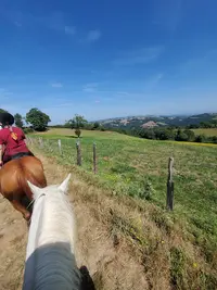 Ferme Equestre de Pomayret