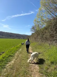 Éducateur Comportementaliste Canin - l'École d'Hélios