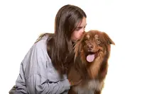 Chloeducanin - Education Canine & Pet Sitting