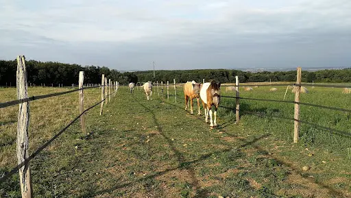 Roquembol Ranch Pension Paddock Paradise