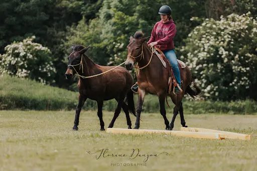 l'Écrin des Mules
