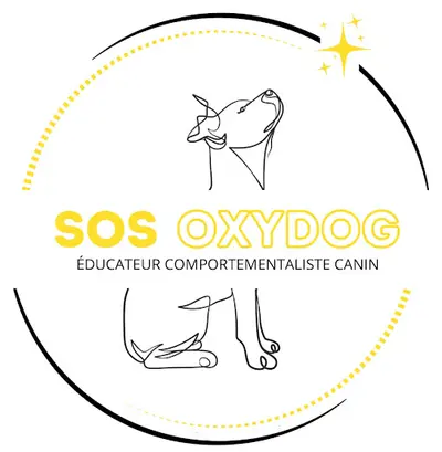 Sos Oxydog / Éducateur Canin À Domicile