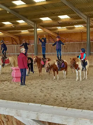 3 Rivieres Equitation