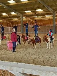 3 Rivieres Equitation