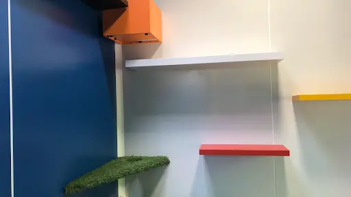 Mio Cat S Hotel