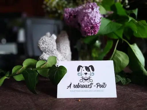 A Rebrouss-poil