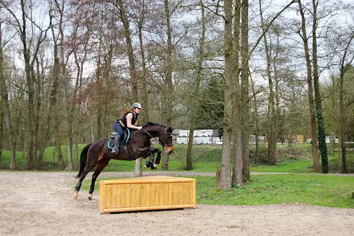 Le Poney Bleu