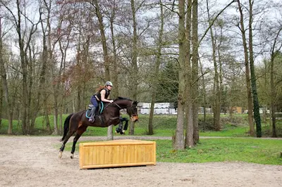 Le Poney Bleu
