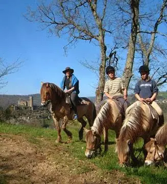 Ferme Equestre de Daoudou