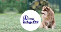 Elevage du Domaine de Tangusko