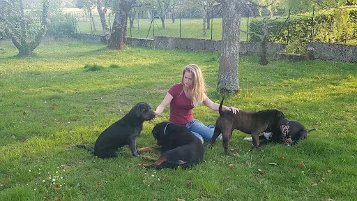 Animaloute - Pet Sitter - l'Animalerie du Jura À Domicile