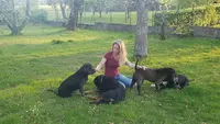 Animaloute - Pet Sitter - l'Animalerie du Jura À Domicile