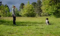 Éduc’anima - Educateur et Comportementaliste Canin Nancy