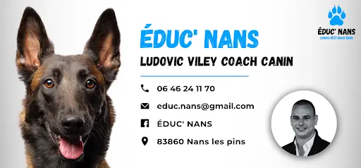 Éduc Nans - Coach Canin - Éducateur Canin