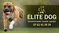 Elite Dog