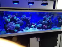Abysses Aquarium