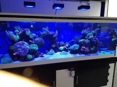 Abysses Aquarium