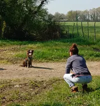 Alexandra Assimot - Assimil Education Canine