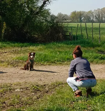 Alexandra Assimot - Assimil Education Canine