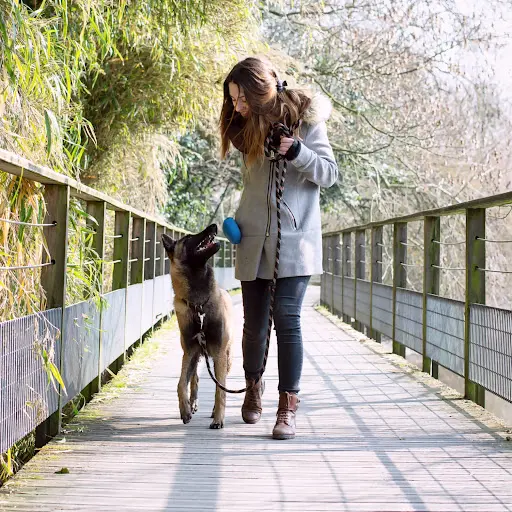 Maï Dog Nantes - Educateur & Comportementaliste Canin