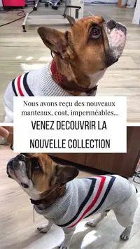 Shypie Toilettage Accessoires & Alimentations