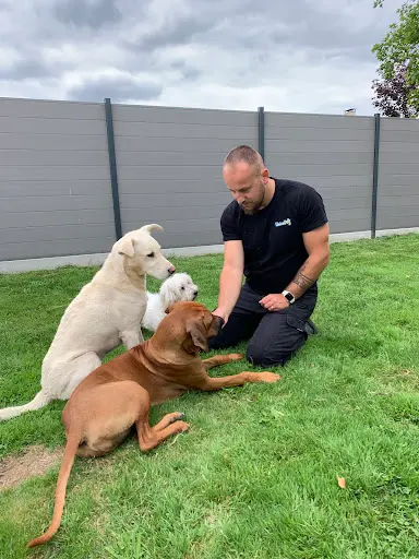 Unicadog, Éducateur Comportementaliste Canin À Nantes et Loire Atlantique, 44