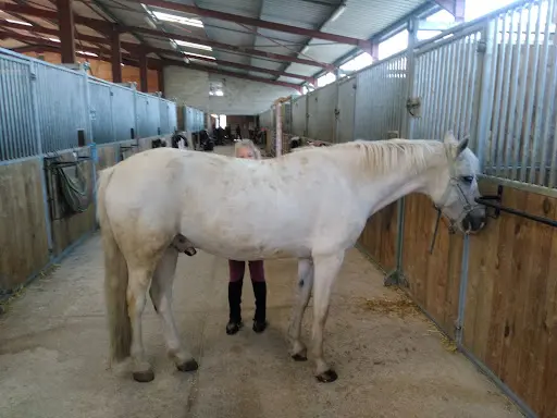 Centre Equestre de l'Aunil