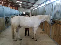 Centre Equestre de l'Aunil